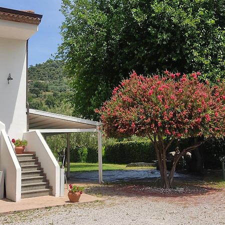 Krio Gelsomare Hotel Policastro Bussentino Exterior photo